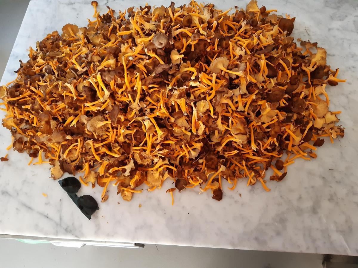 Locanda Rondolost 첸체니게 외부 사진